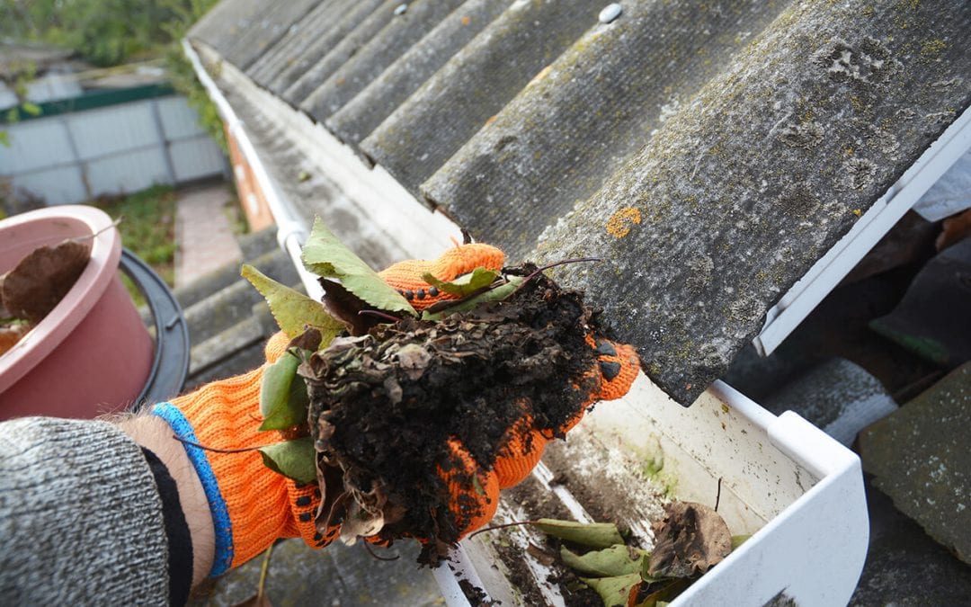 Four Tips On How To Clean Your Gutters During Fall